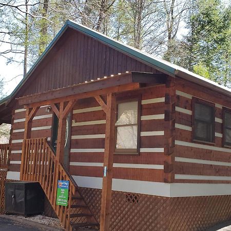Puppy Love #1619 Gatlinburg Exterior foto